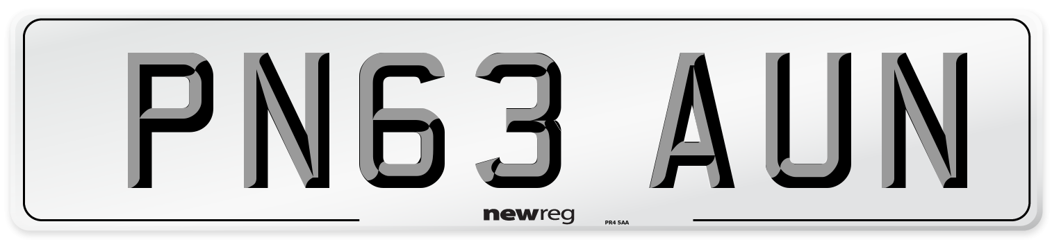 PN63 AUN Number Plate from New Reg